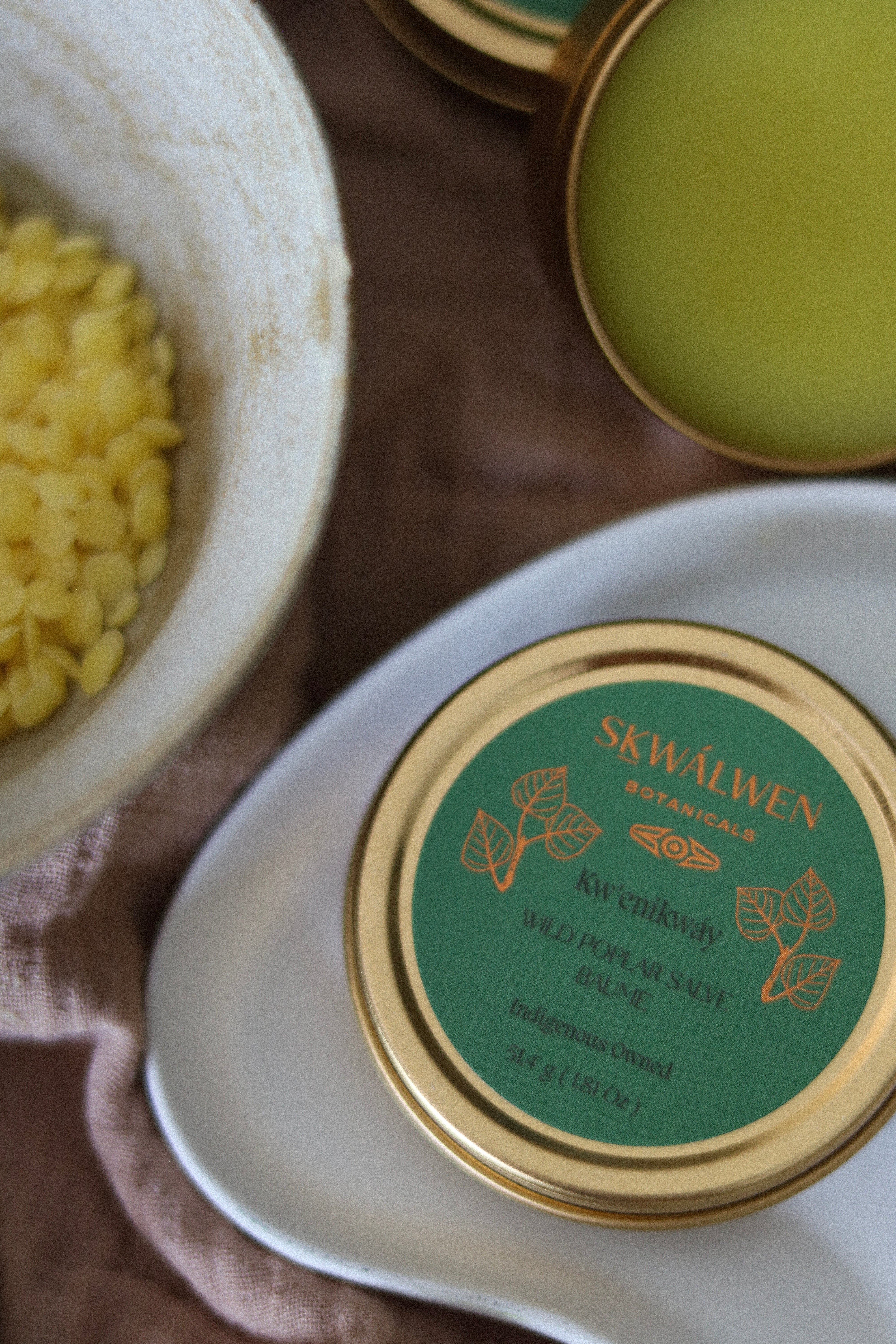 Seasonal ~ Kw’enikwáy Wild Poplar Salve