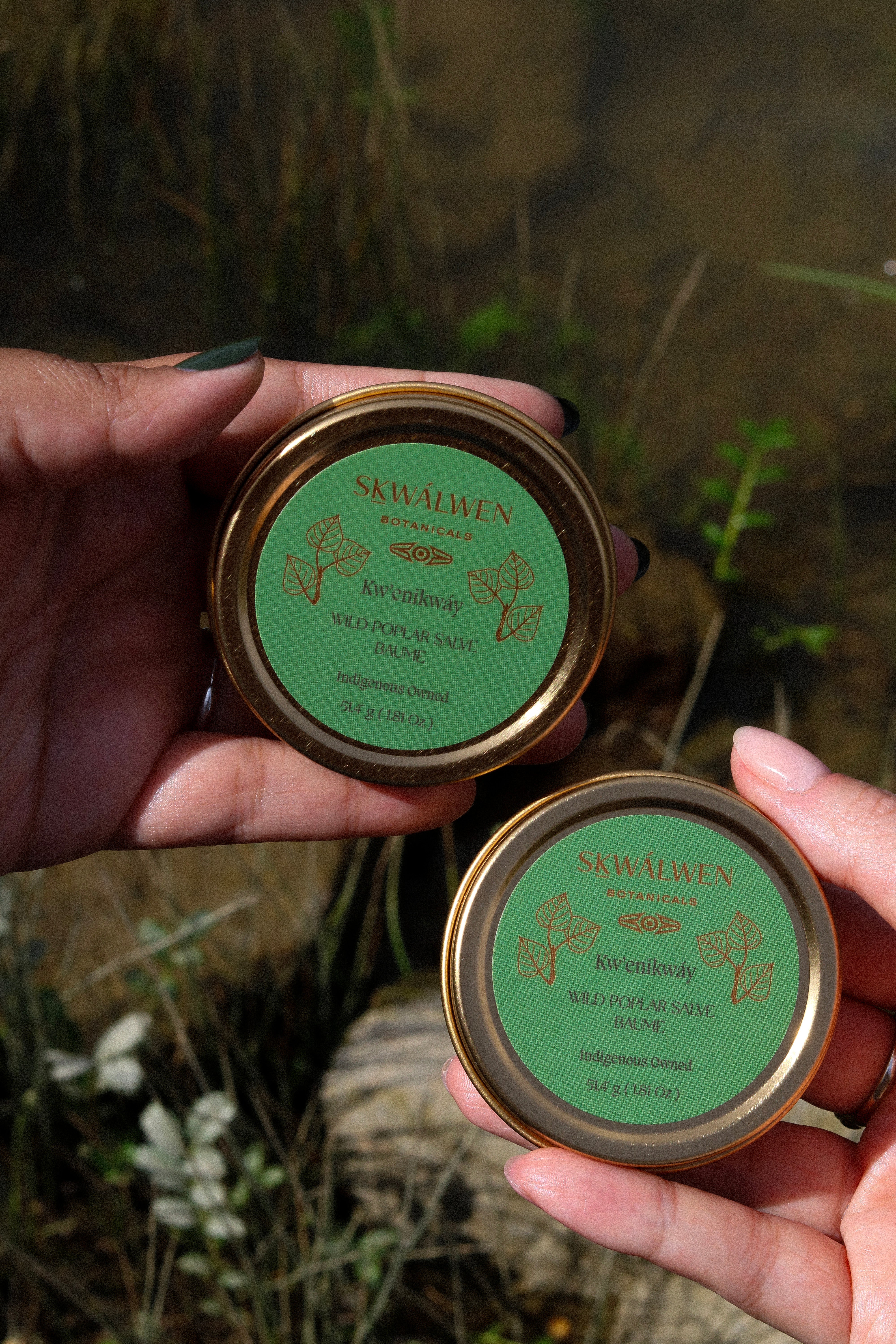 Seasonal ~ Kw’enikwáy Wild Poplar Salve