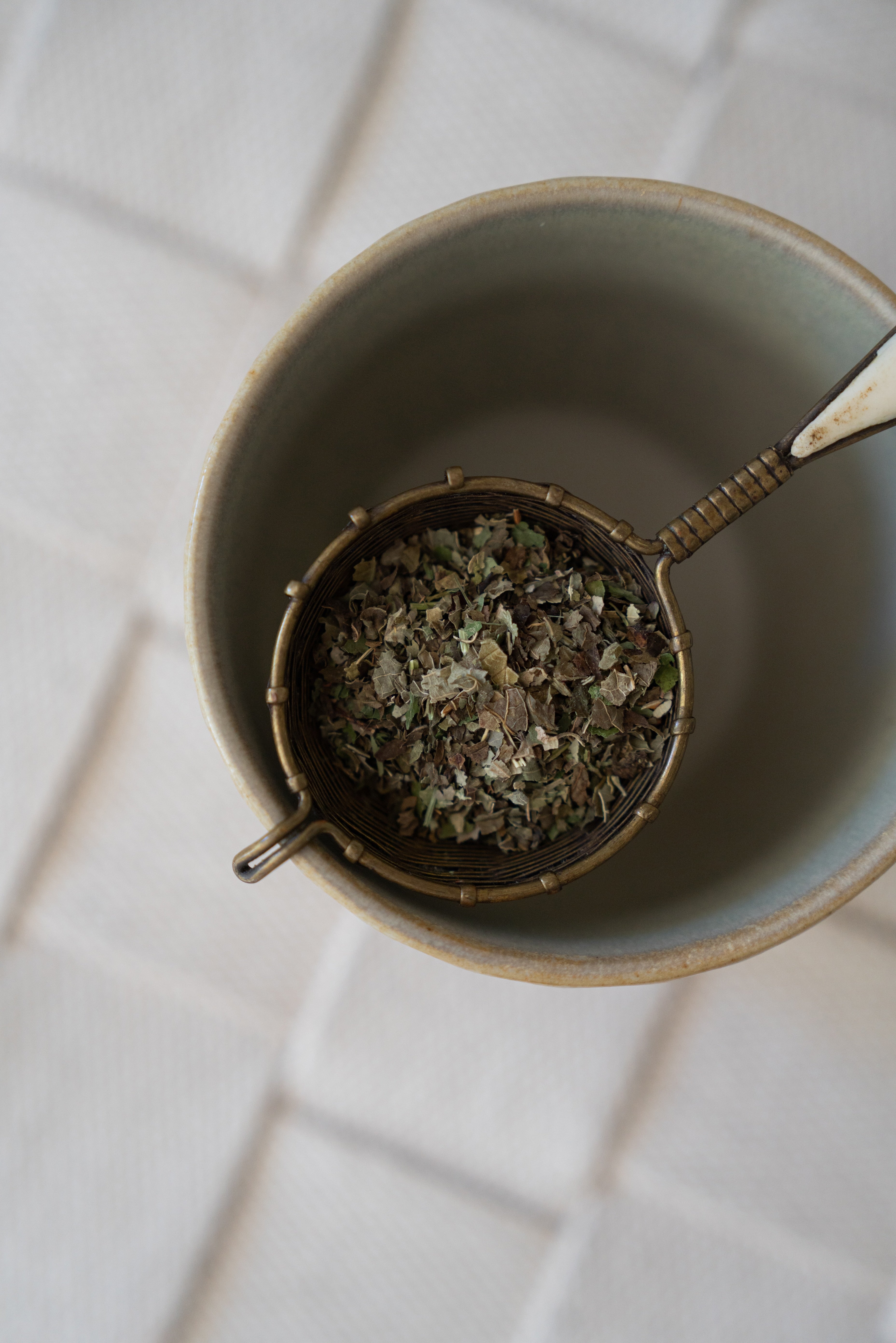 Shkweń Blackberry, Devil's Club & Lemon Balm Tea