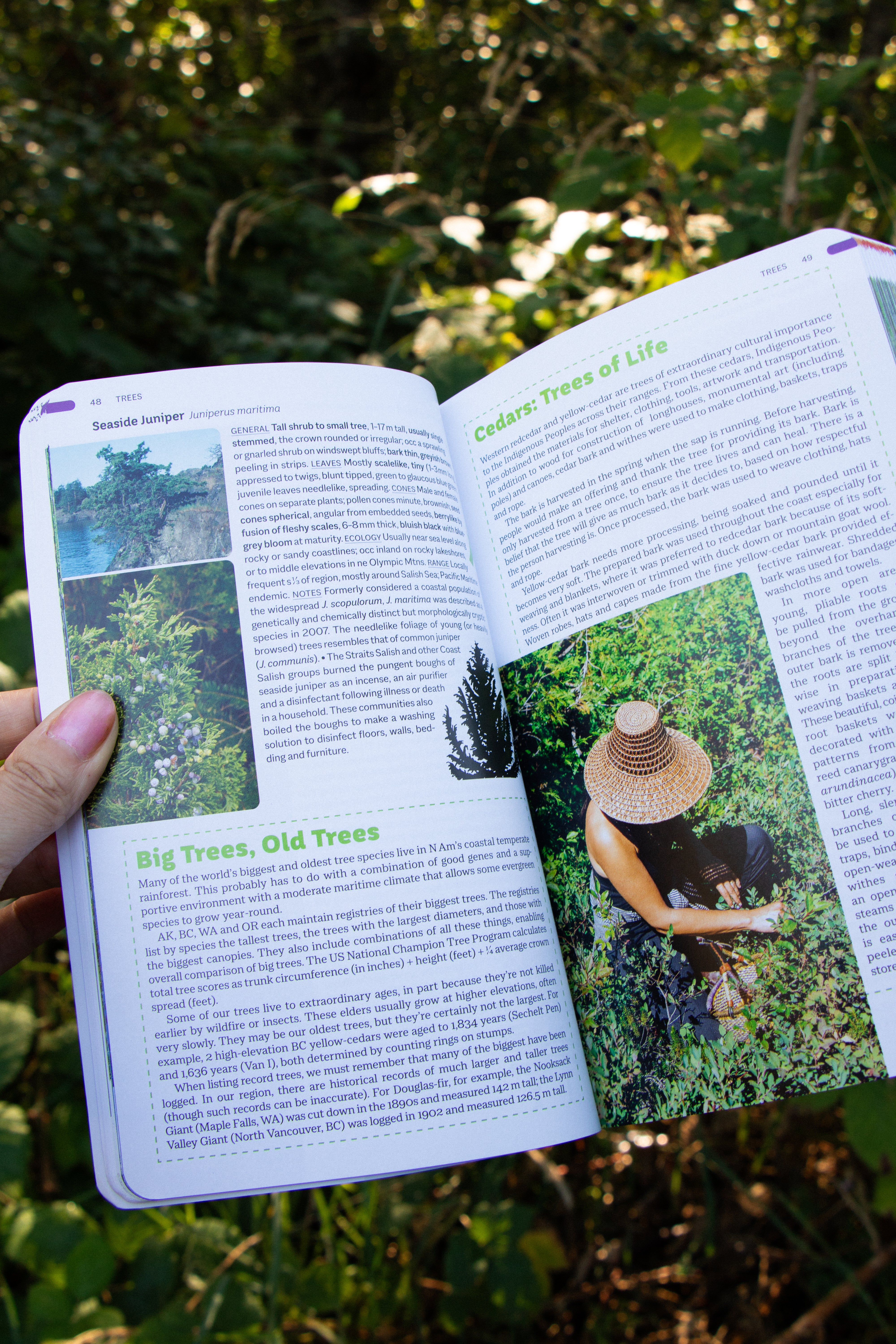 Plants of the Pacific Coast: From Alaska to Oregon, including British Columbia and Washington