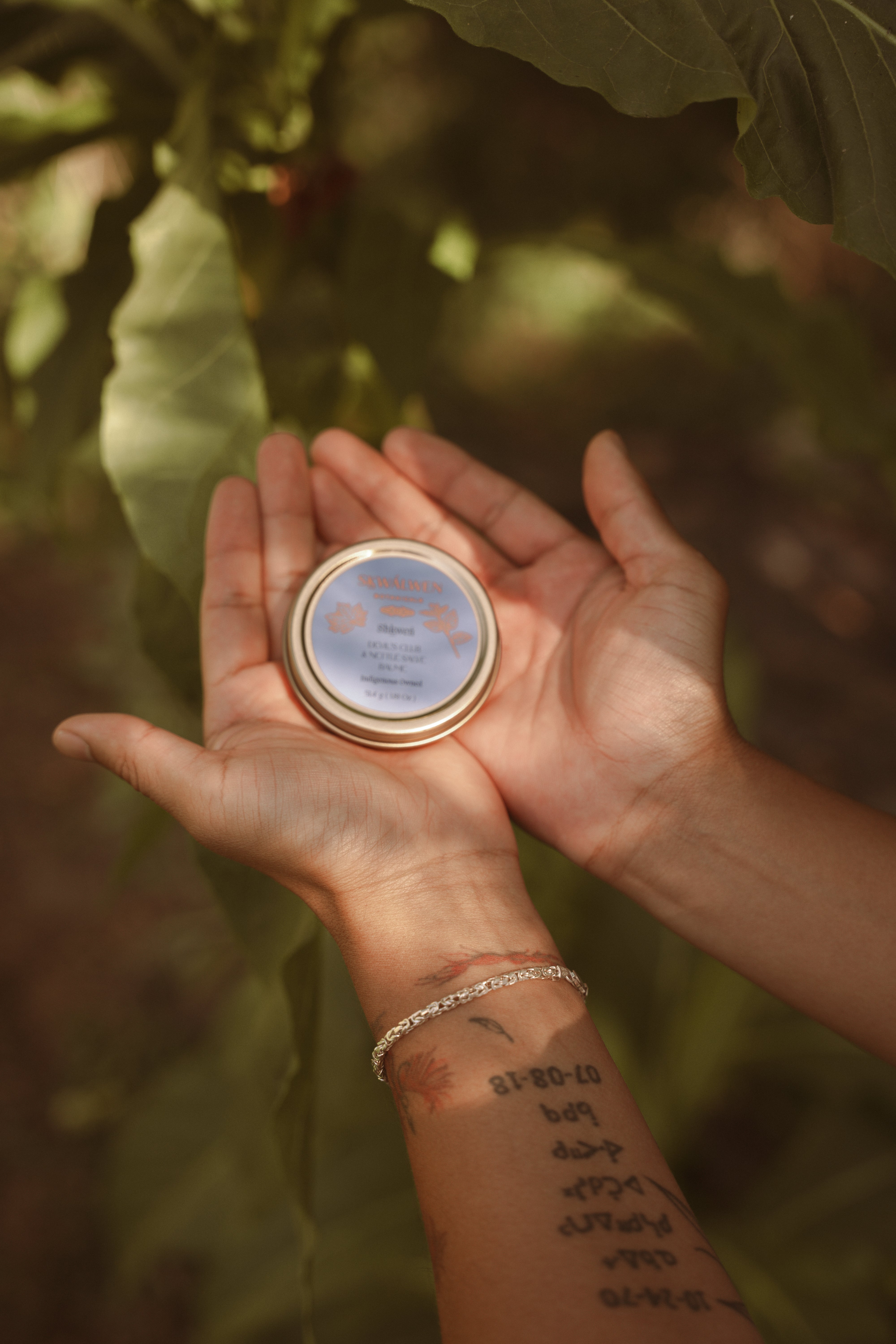 Shkweń Devil's Club & Nettle Salve