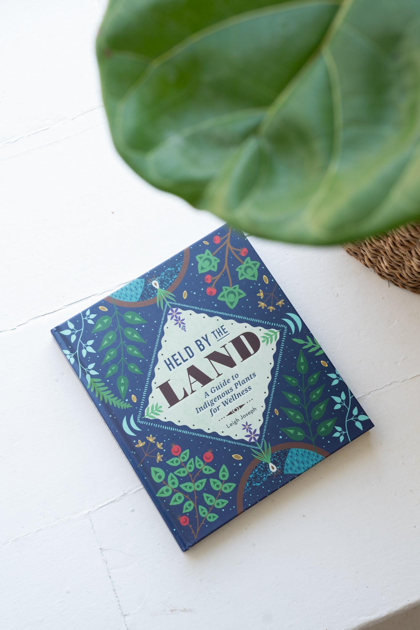 Held by the Land: A Guide to Indigenous Plants for Wellness