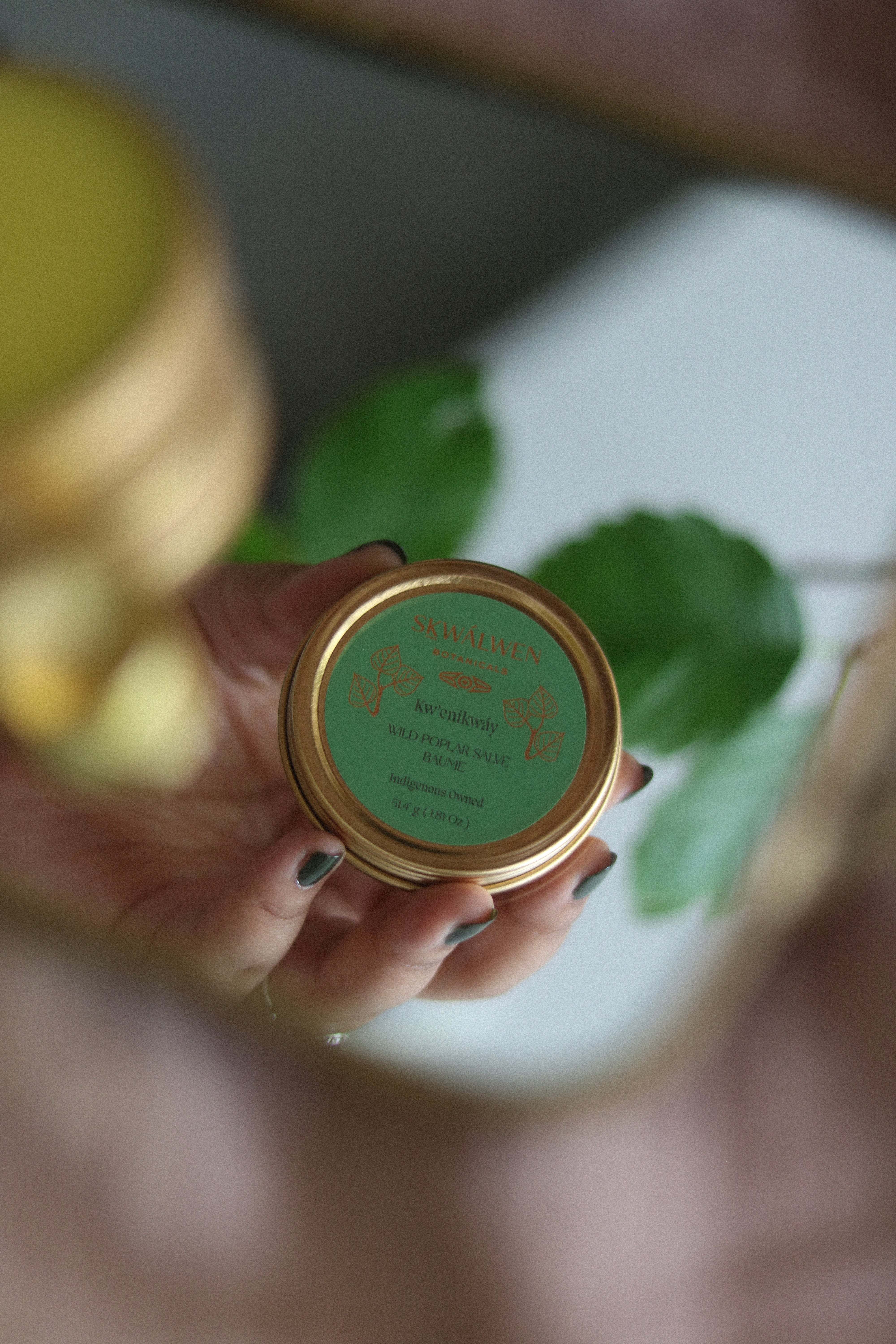 Ceremony Series ~ Kw’enikwáy Wild Poplar Salve
