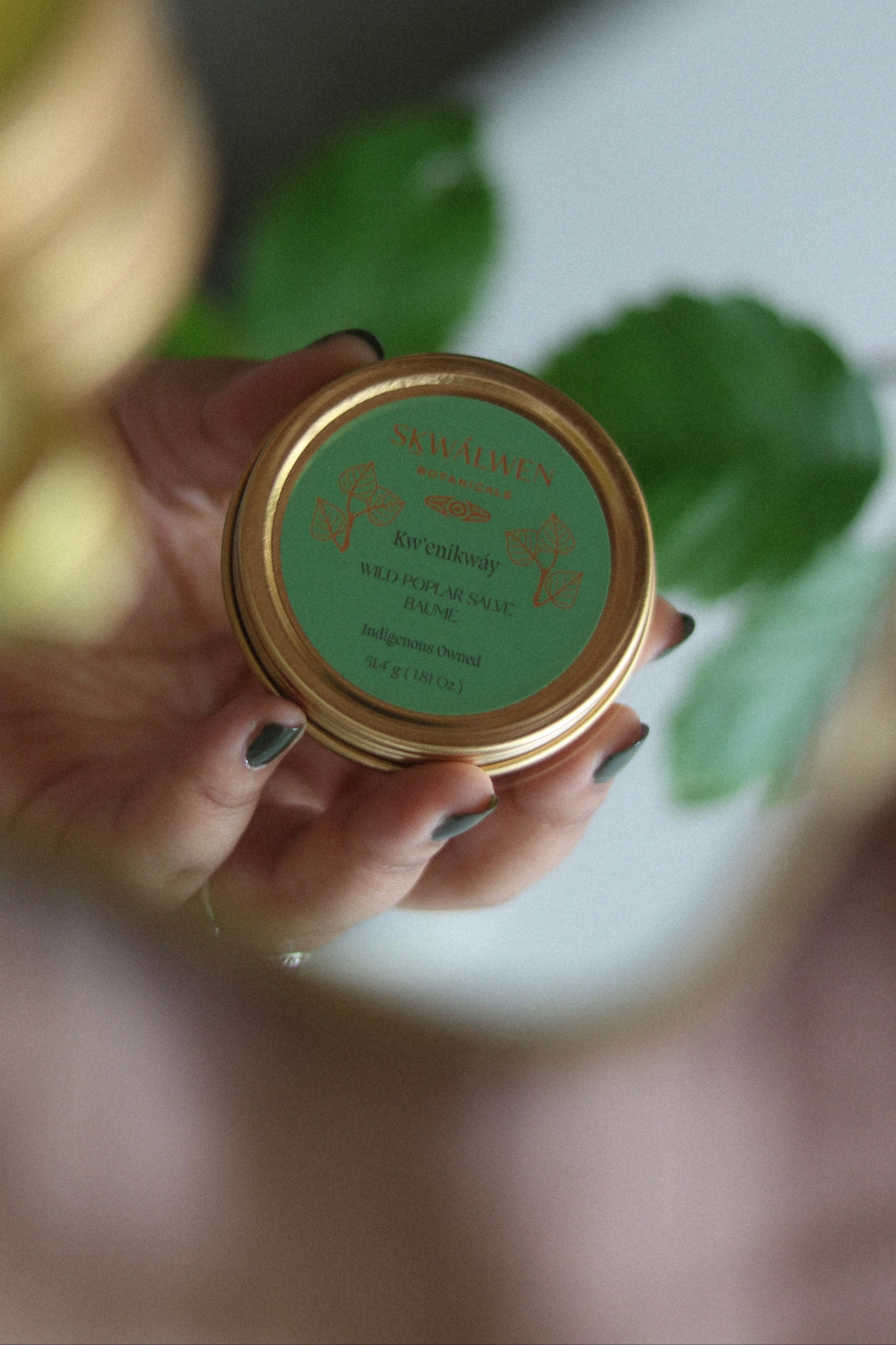Seasonal Salve Set