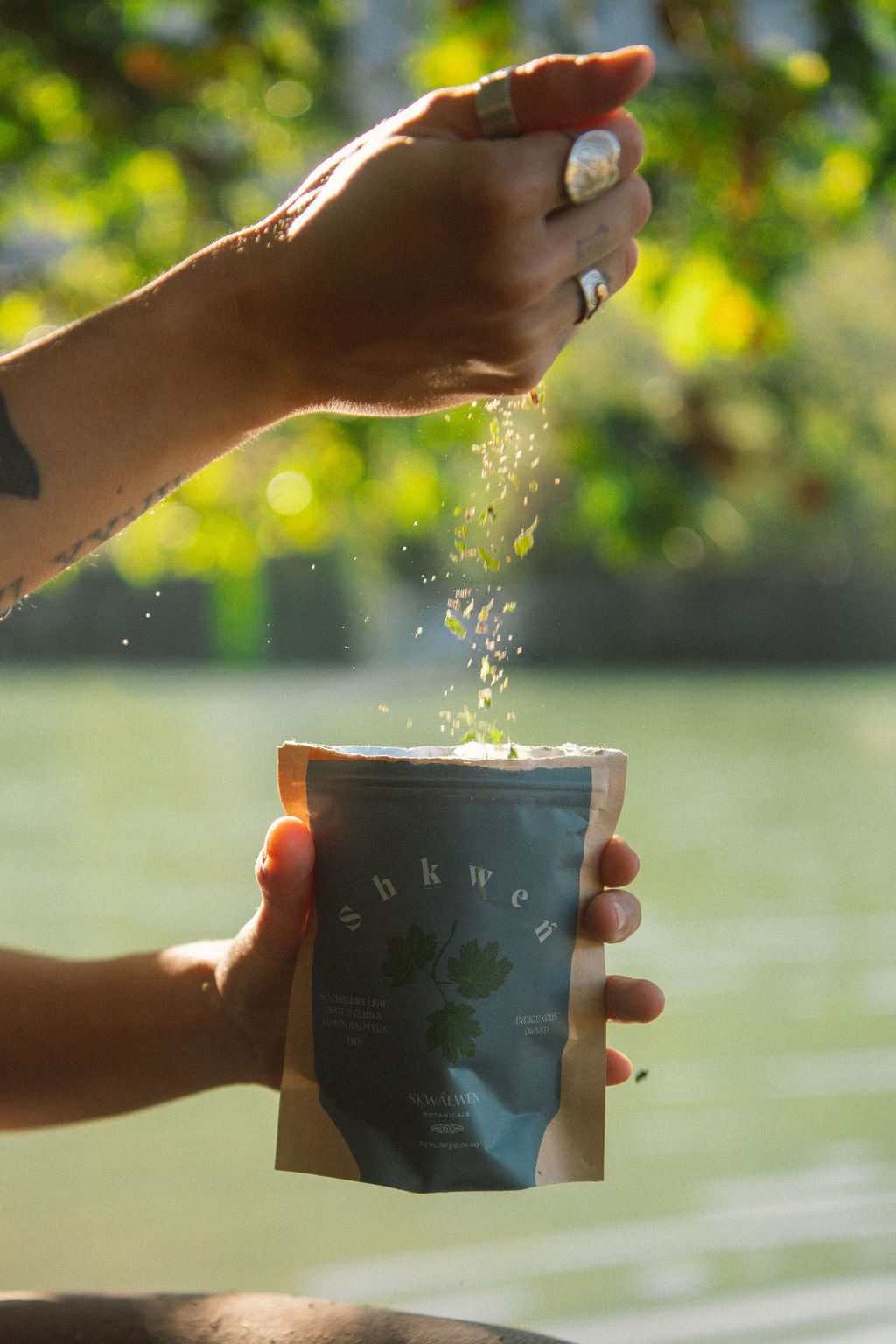 Shkweń Tea