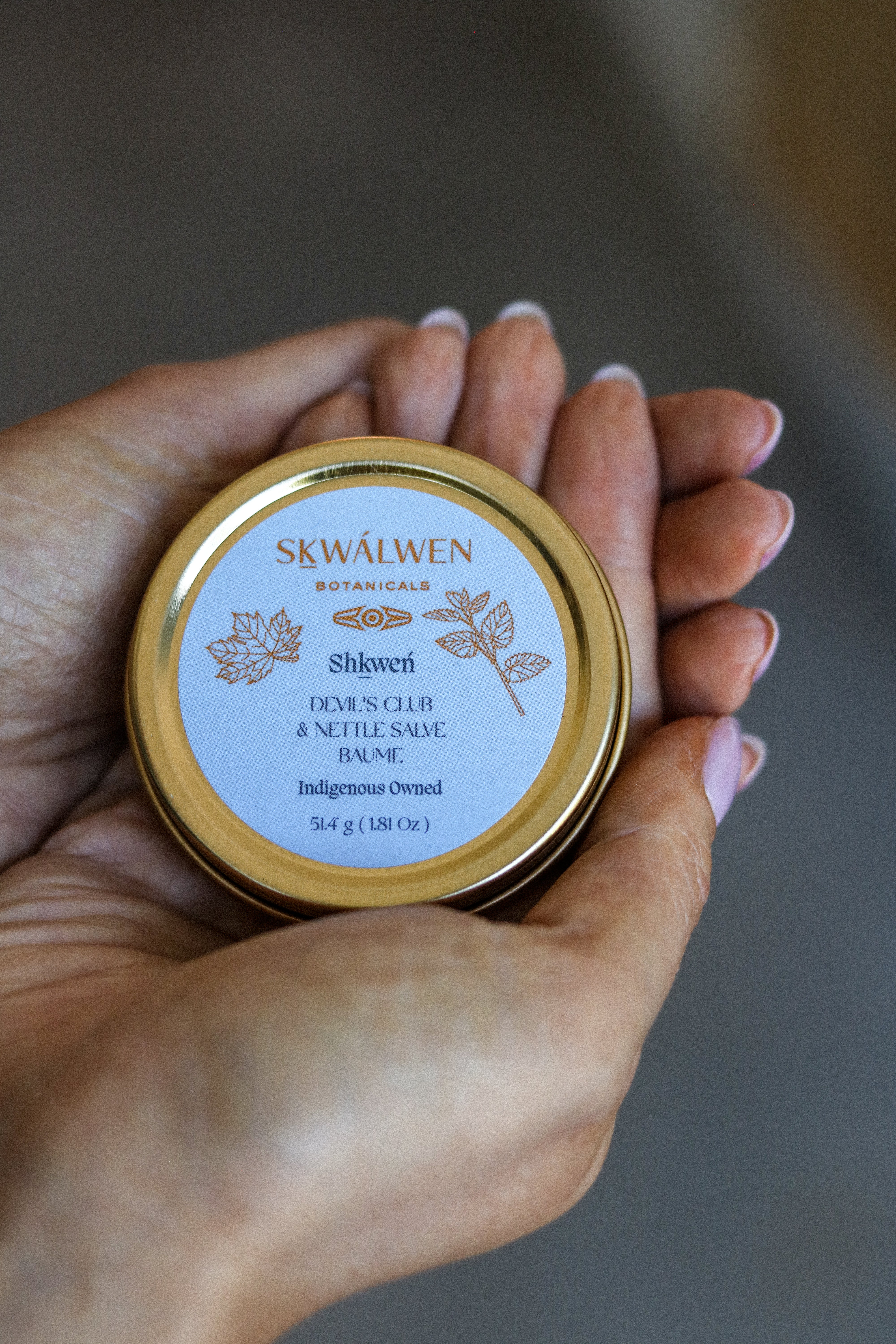 Shkweń Devil's Club & Nettle Salve